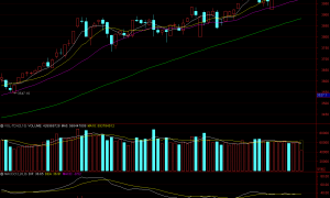 今天，亚太股市集体下跌，因为什么？