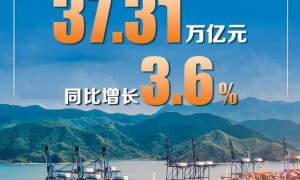 同比增长3.6%，前10个月我国货物贸易进出口平稳增长